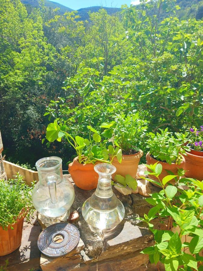Maison Do Mi Sol Reynes Екстер'єр фото